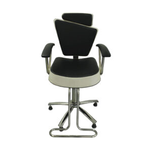 Silla de Peluqueria Ref P210